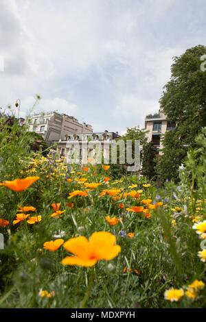 Parigi, Avenue Foch, giardini su Avenue Foch, Foto Stock