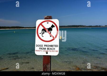 South West Rocks, Australia - Dic 24, 2017. Un segno legge "ogs vietata dalla spiaggia.' su Trial Bay Gaol Beach. Foto Stock