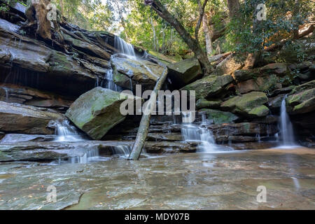 Somersby cade, cascata Gosford, Nuovo Galles del Sud, Australia Foto Stock