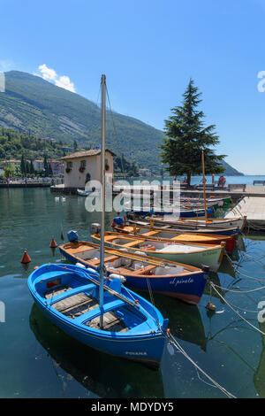 Fila di barche da pesca ormeggiata nel porto a Torbole sul lago di Garda Lago di Garda) in Trentino, Italia Foto Stock