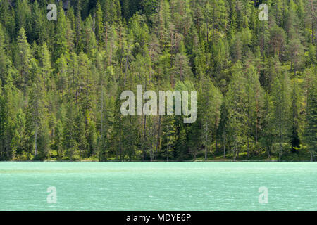 Verdi acque del Lago di Landro e il litorale orlate da alberi a Dobbiaco nelle Dolomiti in Alto Adige, Alto Adige, Italia Foto Stock