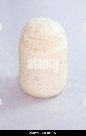 Antipasto sourstay attivo in vaso, pronto all'uso, su fondo bianco. Ricetta: Farina di grano, acqua, lievito fresco - fermentazione biologica Foto Stock