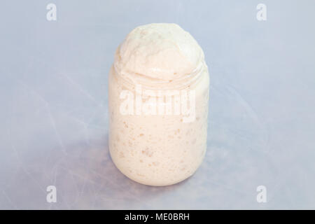 Antipasto sourstay attivo in vaso, pronto all'uso, su fondo bianco. Ricetta: Farina di grano, acqua, lievito fresco - fermentazione biologica Foto Stock