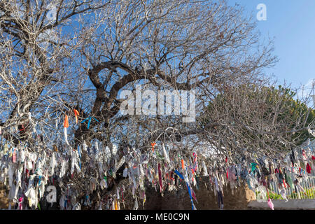 Agia Solomoni catacomba cristiana con indurimento di ailment panni colorati sull'albero di terebinto, Kato Paphos area turistica, PAPHOS CIPRO, europa Foto Stock