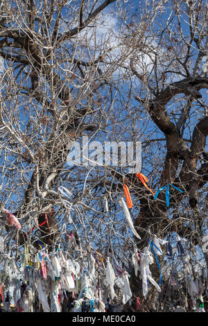 Agia Solomoni catacomba cristiana con indurimento di ailment panni colorati sull'albero di terebinto, Kato Paphos area turistica, PAPHOS CIPRO, europa Foto Stock