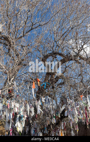 Agia Solomoni catacomba cristiana con indurimento di ailment panni colorati sull'albero di terebinto, Kato Paphos area turistica, PAPHOS CIPRO, europa Foto Stock