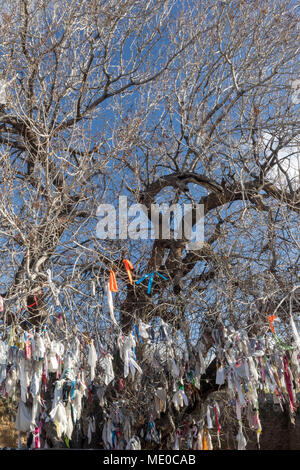 Agia Solomoni catacomba cristiana con indurimento di ailment panni colorati sull'albero di terebinto, Kato Paphos area turistica, PAPHOS CIPRO, europa Foto Stock