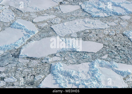 Vista in elevazione del pacco rotto il ghiaccio e ice floes a Snow Hill Island sulla Weddel Sea presso la Penisola Antartica, Antartide Foto Stock
