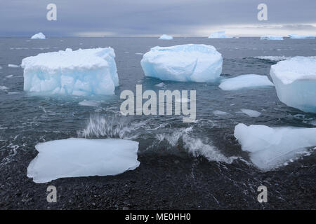 Iceberg con grandi pezzi di ghiaccio lavato fino a una spiaggia vulcanica in marrone Bluff presso la Penisola Antartica, Antartide Foto Stock