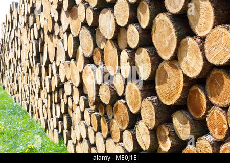 Woodpile sull'erba. Foto Stock