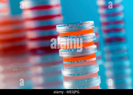 Piastre di agar. Pile di piastre di Petri con agar coltivato. Foto Stock