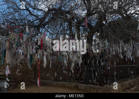 Offerte sull'albero di terebinto fuori la Agia Solomoni catacomba cristiana in Kato Paphos sull'isola mediterranea di cipro Foto Stock