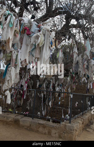 Offerte sull'albero di terebinto fuori la Agia Solomoni catacomba cristiana in Kato Paphos sull'isola mediterranea di cipro Foto Stock