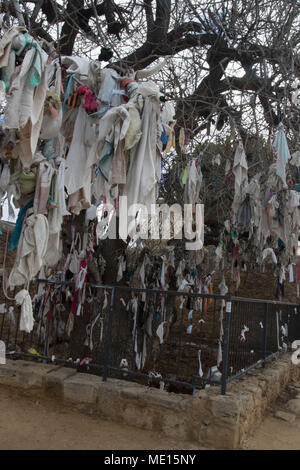 Offerte sull'albero di terebinto fuori la Agia Solomoni catacomba cristiana in Kato Paphos sull'isola mediterranea di cipro Foto Stock