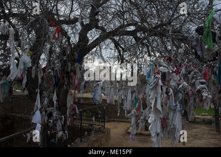 Offerte sull'albero di terebinto fuori la Agia Solomoni catacomba cristiana in Kato Paphos sull'isola mediterranea di cipro Foto Stock