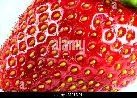 Fragola texture di superficie estrema close up foto. Foto Stock