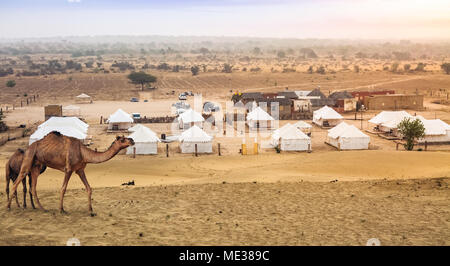 Deserto di Thar Jaisalmer Rajasthan con vista di tende e cammelli utilizzati per il safari nel deserto Foto Stock