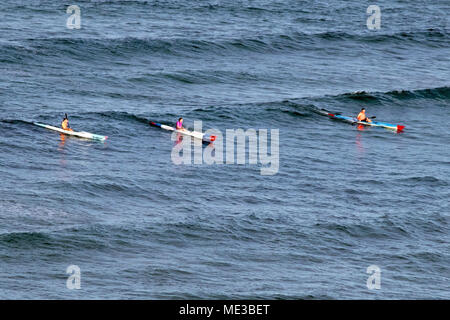 Tre persone sul surf kayak la cattura di un onda sulla Gold Coast in Australia Foto Stock