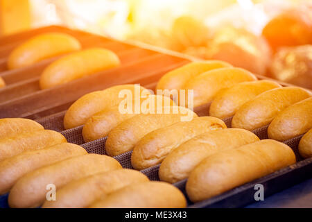 Close-up di deliziosi piatti freschi panini con salsicce giacciono in file diritte su di un vassoio Foto Stock