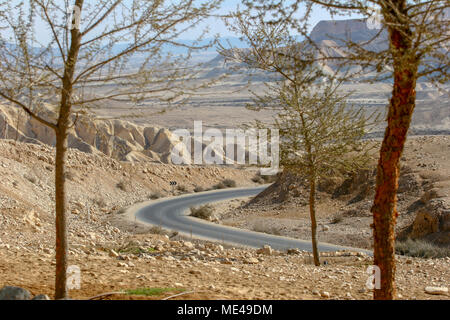 Israele Negev, guardando fuori verso Ein Ovdat e il Wadi Zin valley Foto Stock