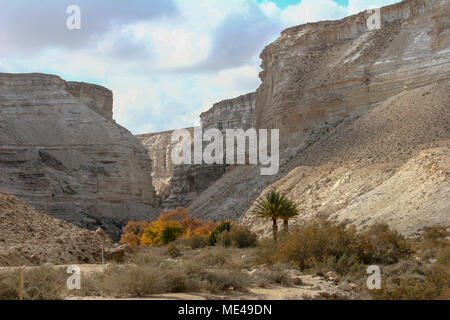 Israele Negev, guardando fuori verso Ein Ovdat e il Wadi Zin valley Foto Stock
