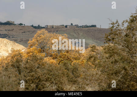 Israele Negev, guardando fuori verso Ein Ovdat e il Wadi Zin valley Foto Stock