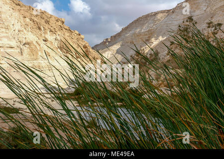 Israele Negev, guardando fuori verso Ein Ovdat e il Wadi Zin valley Foto Stock