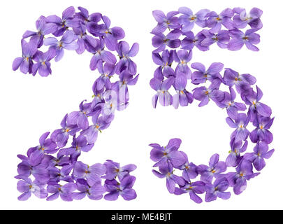 Numero arabo 25, venticinque, dai fiori di viola, isolato su sfondo bianco Foto Stock