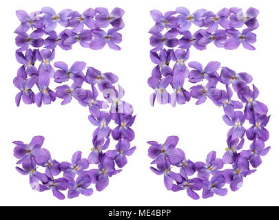 Numero arabo 55, cinquantacinque, dai fiori di viola, isolato su sfondo bianco Foto Stock