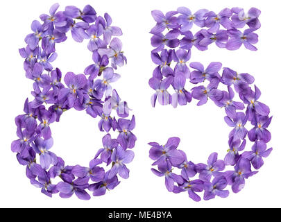Numero arabo 85, ottanta cinque, dai fiori di viola, isolato su sfondo bianco Foto Stock