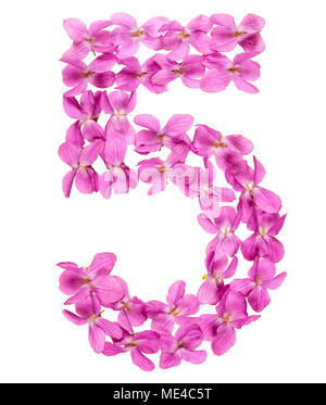 Numero arabo 5, 5, dai fiori di viola, isolato su sfondo bianco Foto Stock