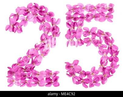 Numero arabo 25, venticinque, dai fiori di viola, isolato su sfondo bianco Foto Stock