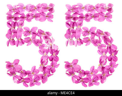 Numero arabo 55, cinquantacinque, dai fiori di viola, isolato su sfondo bianco Foto Stock