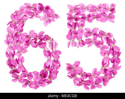 Numero arabo 65, sessanta cinque, dai fiori di viola, isolato su sfondo bianco Foto Stock