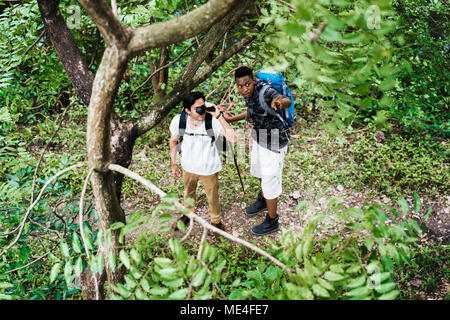 Il Trekking nella foresta Foto Stock