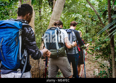 Il Trekking nella foresta Foto Stock