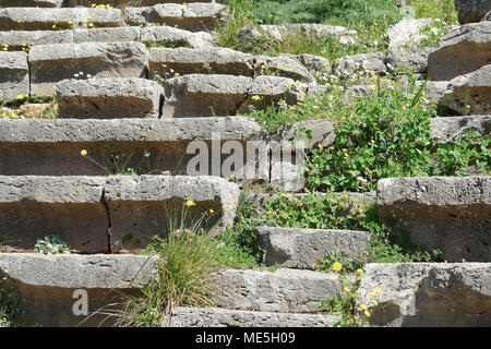 Delphi, Grecia - 30 Marzo 2015: panche in pietra e fiori di primavera nel Teatro Antico di Delphi. Foto Stock