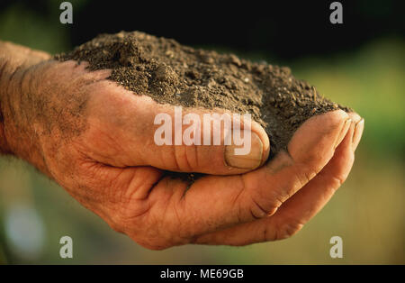 Giardiniere mani tenendo un cumulo di terra o di terra vicino fino Foto Stock