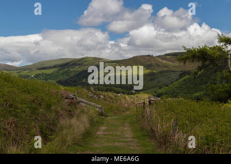 Sentieri escursionistici in Wicklow Mountains, Wicklow, Irlanda Foto Stock