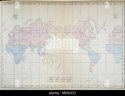. Die geographische verbreitung der säugthiere dargestellt . Foto Stock