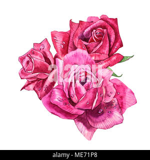 Impostare gli elementi di acquerelli di rose. Collezione giardino di fiori di rosa, foglie e rami. Illustrazione botanico isolati su sfondo bianco. Bocciolo di rose Foto Stock