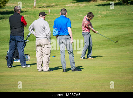 West Linton, Scottish Borders, Scotland, Regno Unito, 21 aprile 2018. Sole primaverile in campagna, con un gruppo di golfisti maschio su un fairway a West Linton campo da golf. Un giovane uomo è montata oscillante una golf club, guardati da tre uomini Foto Stock