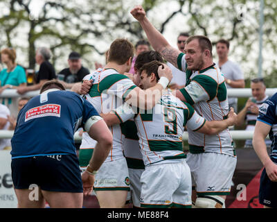 Londra, UK, 21 aprile 2018. Festeggiamenti dopo Luca punteggi Carter a provare, Ealing Trailfinders v Bedford Blues in Semi Finale del B&I Cup al castello di Bar, Vallis modo, West Ealing, Londra, Inghilterra, il XXI Aprile 2018 punteggio finale 36-16 Credito: Lissy Tomlinson/Alamy Live News Foto Stock