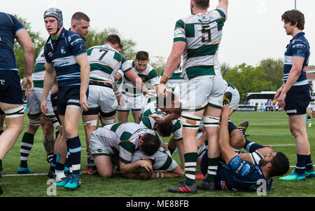 Londra, UK, 21 aprile 2018. Segnare i punteggi luminoso a provare, Ealing Trailfinders v Bedford Blues in Semi Finale del B&I Cup al castello di Bar, Vallis modo, West Ealing, Londra, Inghilterra, il XXI Aprile 2018 punteggio finale 36-16 Credito: Lissy Tomlinson/Alamy Live News Foto Stock