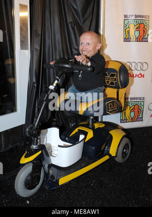 Miami Beach, FL, Stati Uniti d'America. Xxi Nov, 2018. Attore Verne Troyer arriva al Best Buddies 12th Annual Miami Beach di Gala. Il 21 novembre 2008 a Miami Beach, in Florida. Credito: Hoo Me.Com/Media punzone/Alamy Live News Foto Stock