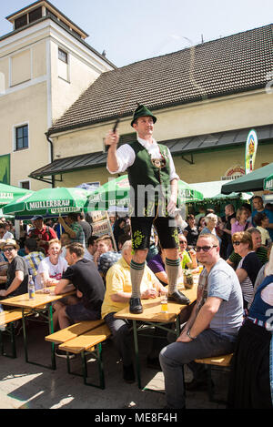 Neuoetting, Germania. Il 21 aprile 2018. Un uomo in tipici abiti bavarese in piedi su un tavolo oscilla una frusta Foto Stock