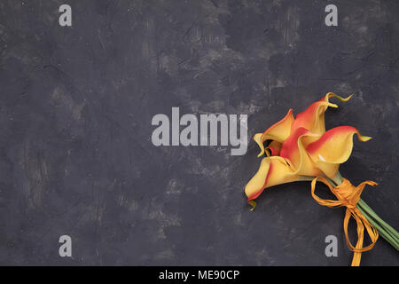 Rosso Giallo calla lily su intonaco grigio sfondo Foto Stock