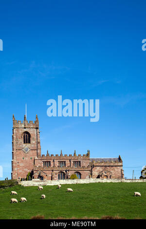 Gregge di pecore al pascolo nella campagna di laminazione di fronte alla chiesa parrocchiale di San Michele è nel sud Cheshire village di Marbury Foto Stock