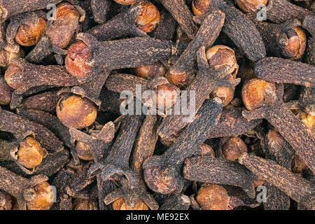 Close-up di aromatico spicchi di medicinali come sfondo. Syzygium aromaticum. Bella brown texture da un mucchio di spezie secche con un caratteristico profumo. Foto Stock