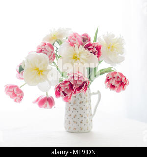 I tulipani con uno sfondo bianco Foto Stock